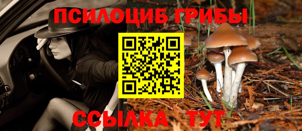 Галлюциногенные грибы Psilocybe  Вход с VPN  купить наркоту  Холмск 