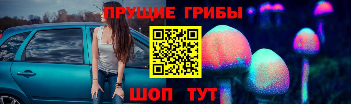 Псилоцибиновые грибы MAGIC MUSHROOMS Холмск
